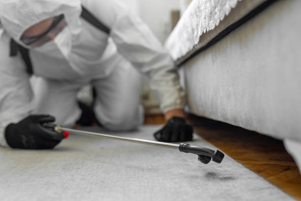 Professional Bed Bug Control technician working in Norco, LA